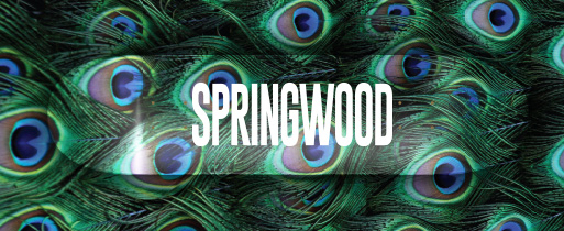 Springwood Plumage Skateboard Deck 8.1